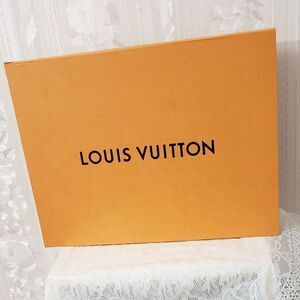 Louis Vuitton Large Storage Box Like New